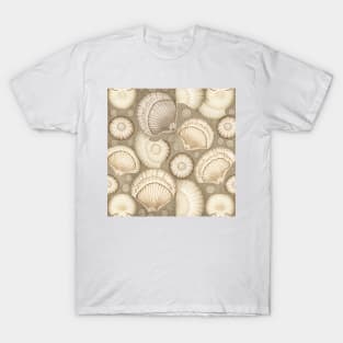 Taupe vintage seashells T-Shirt